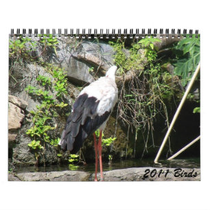 2011 fåglar kalender