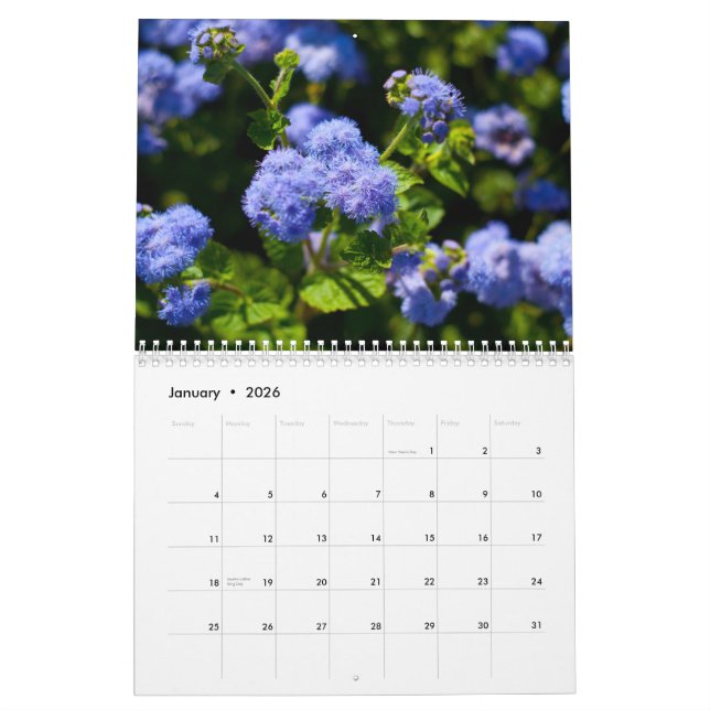 2011 floror kalender (Jan 2026)