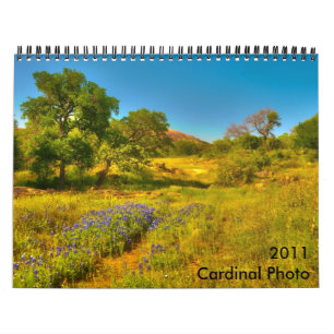2011 huvudsakliga fotokalender kalender