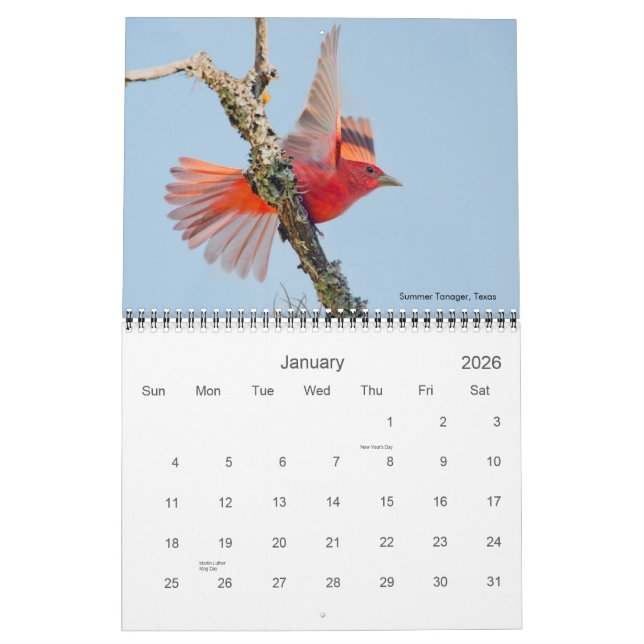 2011 huvudsakliga fotokalender kalender (Jan 2026)