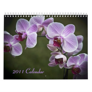 2011 kalender - blommor