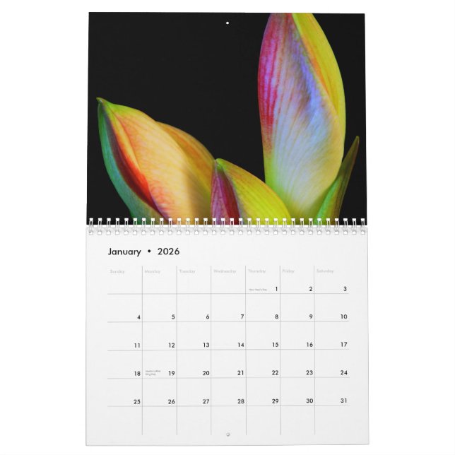 2011 kalender - blommor (Jan 2026)