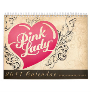 2011 kalender för rosa dam Amerika