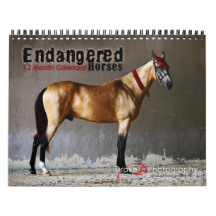 2011 Kalender över utrotningshotade hästraser