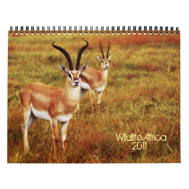 2011 kalendrar - djurlivafrika kalender (Omslag)