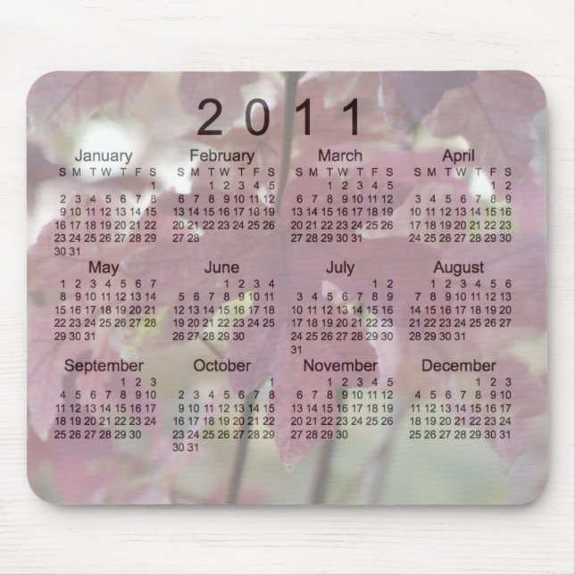2011 Landskapskalender Musmatta (Framsidan)
