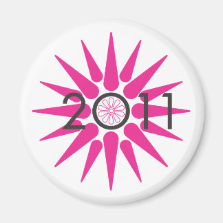 2011 MAGNET