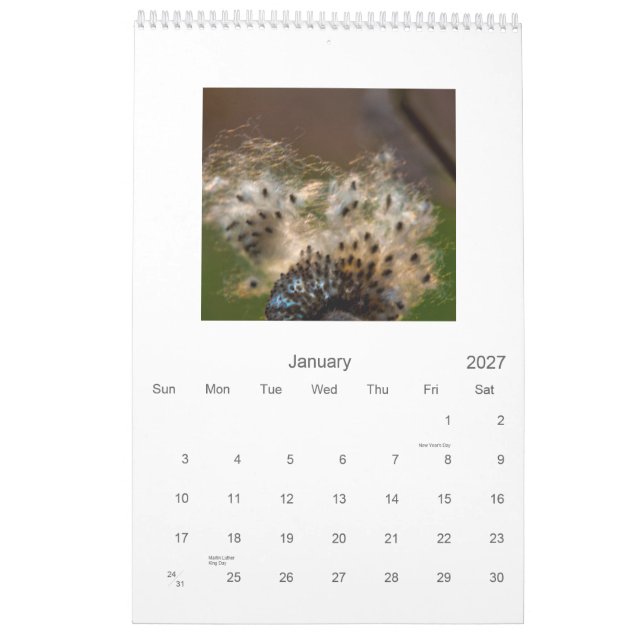 2011 makro + Closeups (vertikal kalender) Kalender (Jan 2027)
