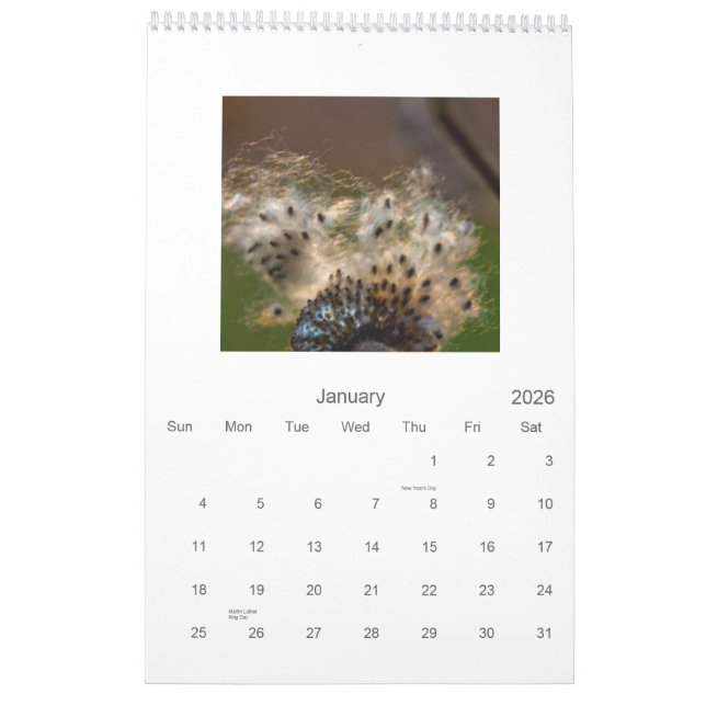 2011 makro + Closeups (vertikal kalender) Kalender (Jan 2026)