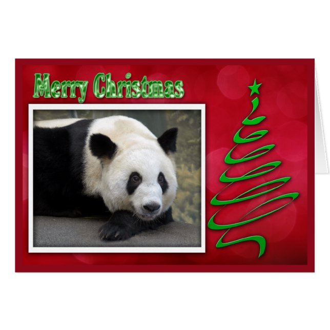 2011-panda-0059 OBS kort (Framsidan Horizontal)