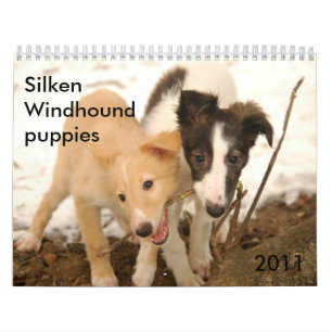 2011 Silken Windhound valpar Kalender