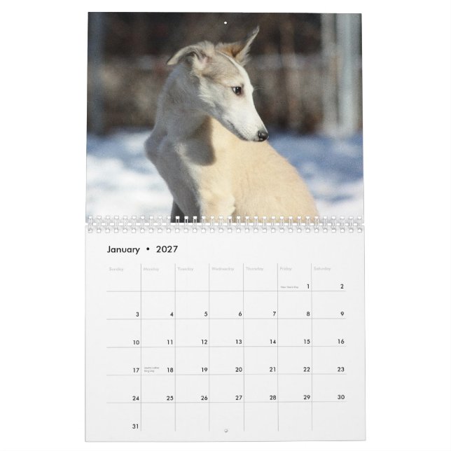 2011 Silken Windhound valpar Kalender (Jan 2027)