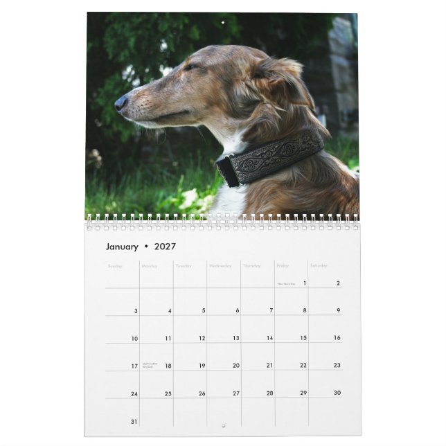 2011 Silken Windhounds 2011 (vuxen) Kalender (Jan 2027)