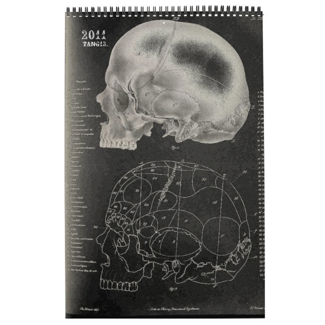 2011 SKULL/SKELETON/ANATOMY - Tang13. Kalender (Omslag)