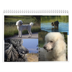 2011 standarda pudelkalender kalender