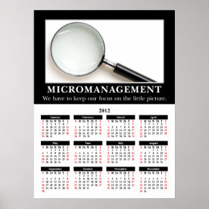 2012 års demografiskt väggkalender: Mikrohantering Poster