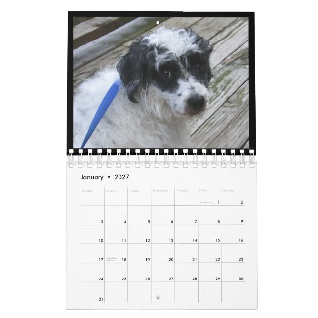 2012 års kalender för hårlösa hundar (Jan 2027)
