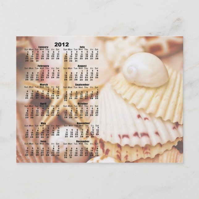 2012 års kalender - Seashell-vykort Vykort (Framsida)
