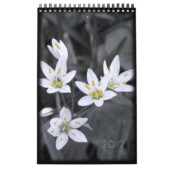 2012 Blommigt Kalender 12 månader (Omslag)