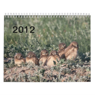 2012 gräva ugglor kalender