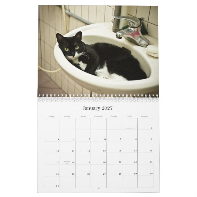 2012 gulliga katter kalender (Jan 2027)