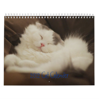 2012 gulliga katter kalender