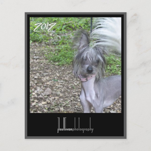 2012 kalendertäcke (Framsida)