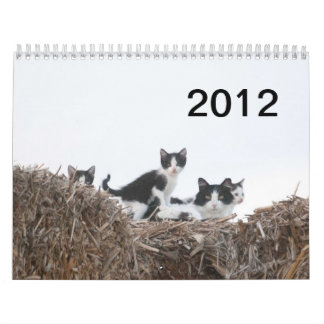 2012 kattungar av brunnranch kalender