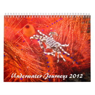 2012 marin- livkalender för undervattens- resor kalender
