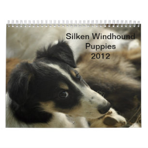 2012 Silken Windhounds valpar 2 Kalender