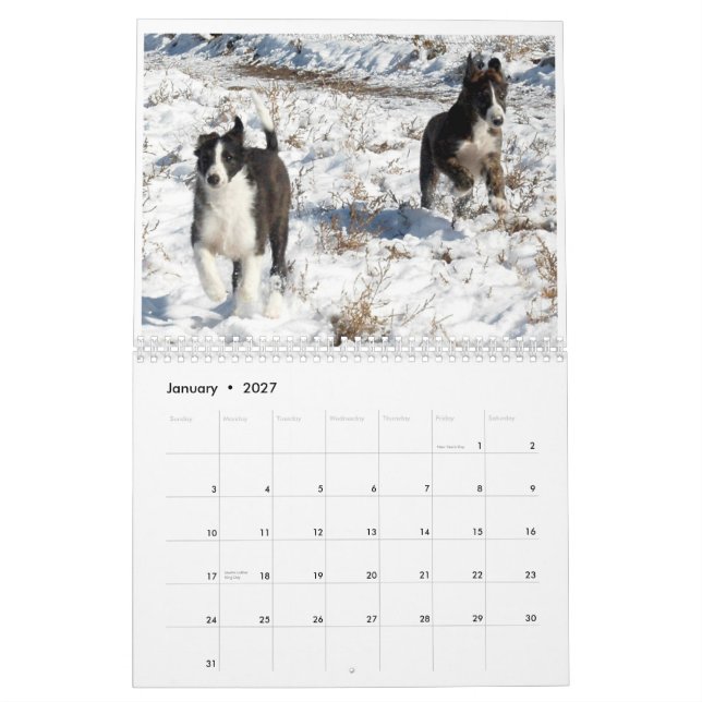 2012 Silken Windhounds valpar 2 Kalender (Jan 2027)