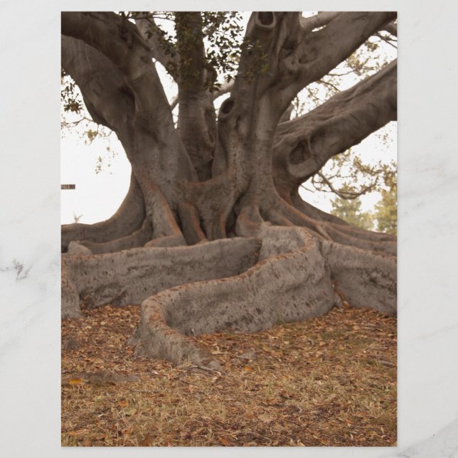 20130615_cal13_0249.jpg (Framsida)