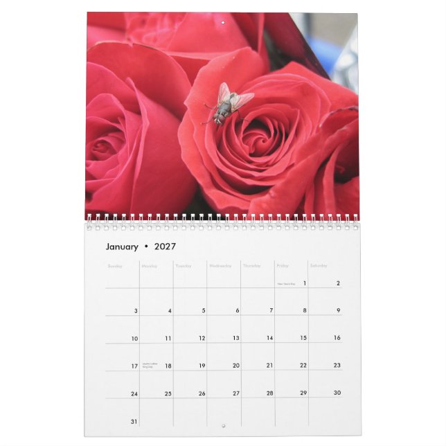 2013-14 krypälskare kalender för 12 månad - EGSO (Jan 2027)
