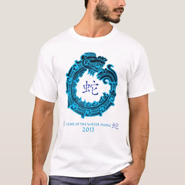 2013 år av vattenormen tee (Framsida)