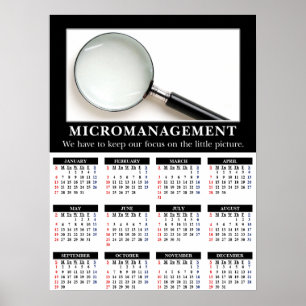 2013 års demografiskt väggkalender: Mikrohantering Poster