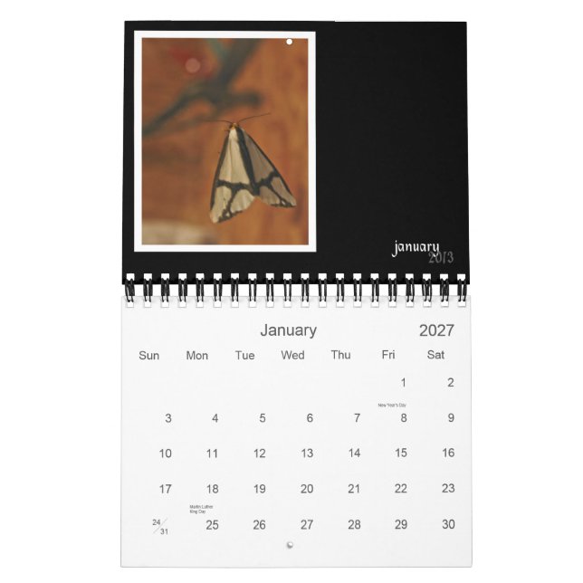 2013 års kalender för skribenter och Kryp (Jan 2027)