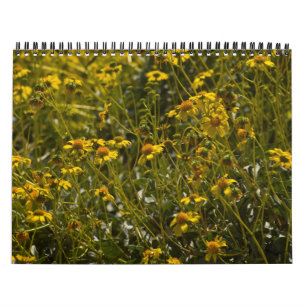 2013 års kalender för Wildblomskript