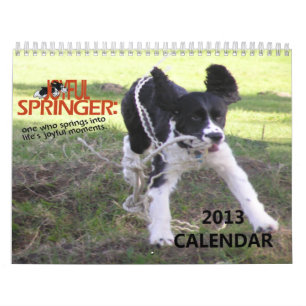 2013 glatt Springer kalender för 12 månad