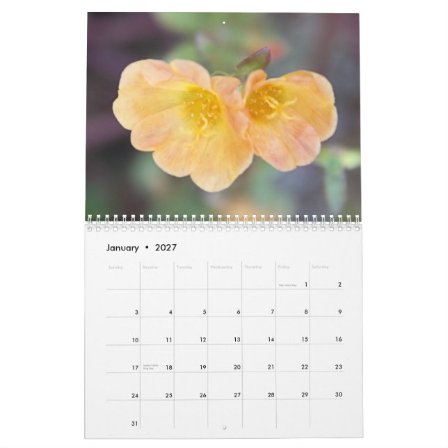 2013 härliga blommafotografikalender kalender (Jan 2027)