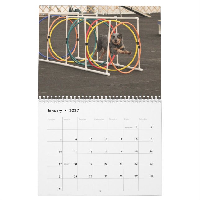 2013 hundar på springan kalender (Jan 2027)