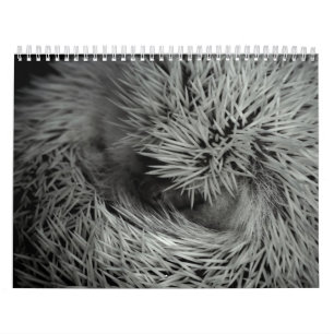 2013 kalender 3