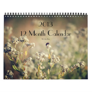 2013 kalender för 12 månad