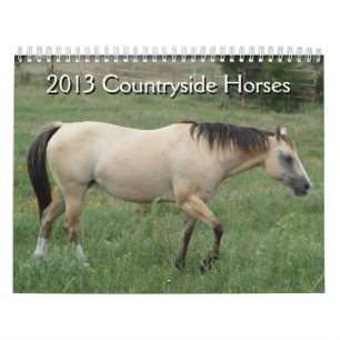 2013 Kalender Landsbygdshästar
