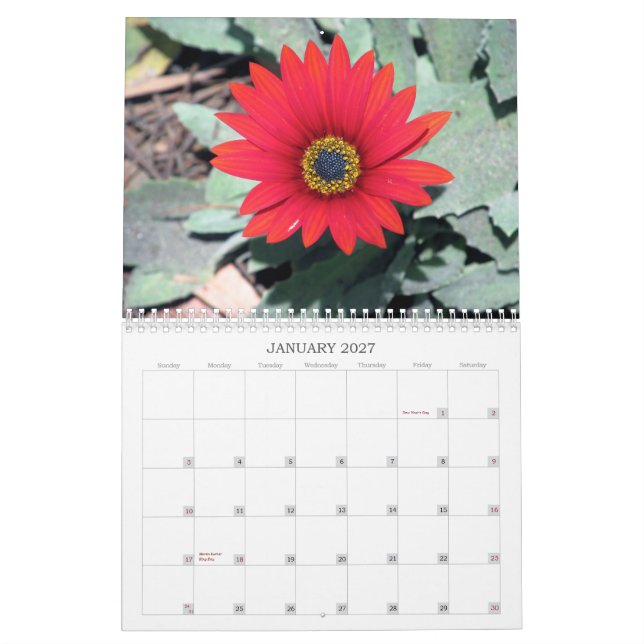 2013 kalender - natur (Jan 2027)