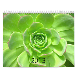 2013 kalender - natur