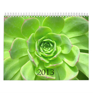 2013 kalender - natur
