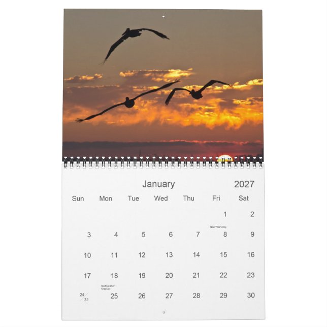 2013 kalender - vingar (Jan 2027)