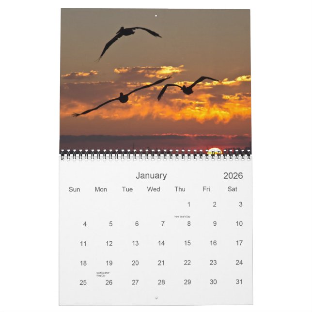 2013 kalender - vingar (Jan 2026)