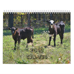 2013 kalvar kalender