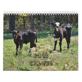 2013 kalvar kalender